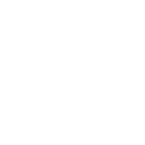 DNA&STONE