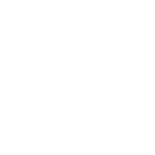 RINO & PARTNERS