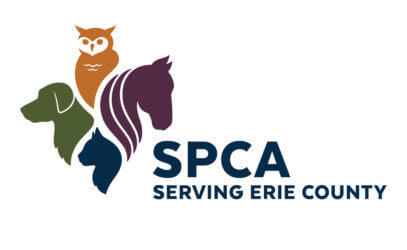 SPCA 