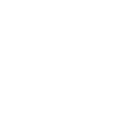 ZLR Ignition