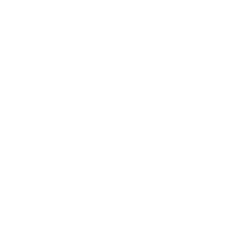 Pacific Solutions & Services