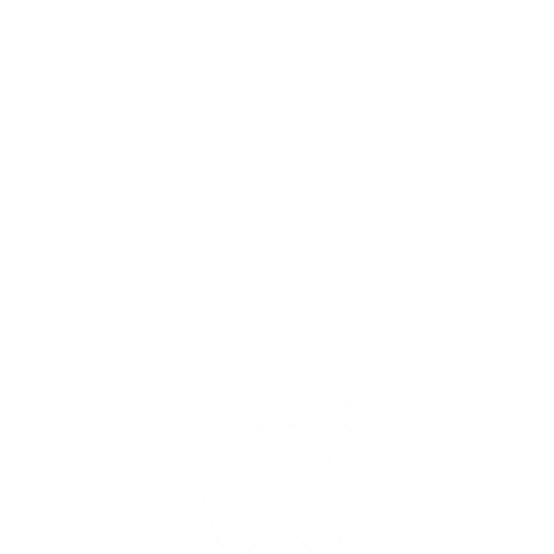 Wise Pirates