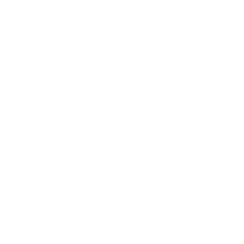 Project Bionic