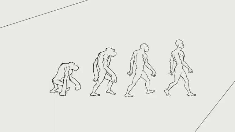 Darwin & Verne rebranding